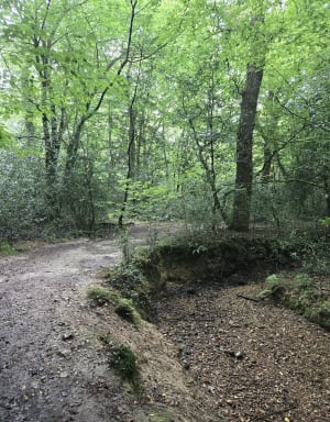 Circuit de la Caleuvre - Liffré - 5