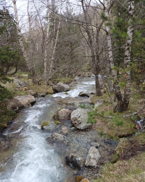 La vallée de la Riberole de Prats Balaguer - Fontpédrouse - 5