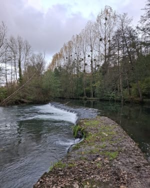 Ballade en bord de Sèvre de Saint-Maixent-l'École - ANTHONY - 16