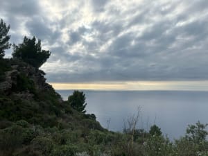 Rando vers Notre-Dame Mai - Six-Fours-les-Plages - 12