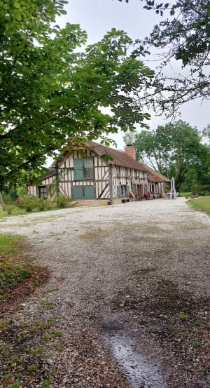 Ecouter le vent souffler dans le bois de Dozulé et respirer ! - Stéphane - 7