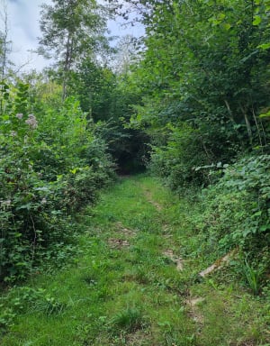 Le sentier découverte de Lachenaud - Ornans - 13