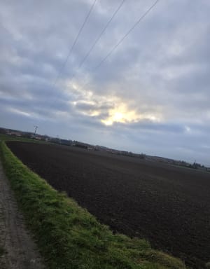 Petite balade à Sains-en-Gohelle, au chant des oiseaux - Sains-en-Gohelle - 3
