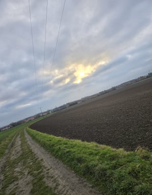 Petite balade à Sains-en-Gohelle, au chant des oiseaux - Sains-en-Gohelle - 4