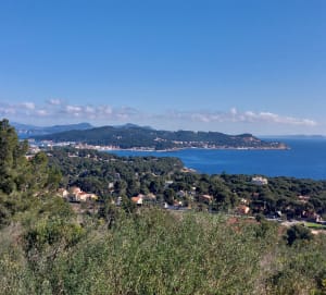 De Janas, Fabrégas, par l'Oïde - La Seyne-sur-Mer - 6