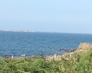 Petit tour de Pen Enez - Landéda - 3