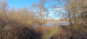 Balade sur le sentier des Castors via le pont de fer - Moulins - 4