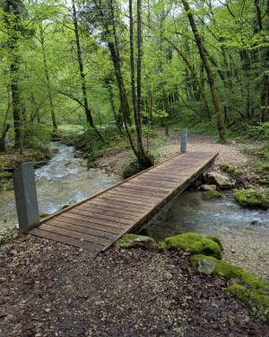 Wandeling naar de Luizet-waterval - Bénonces - 19