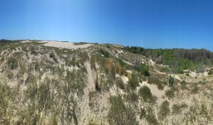Ocean - Bassin à L'Herbe - Lège-Cap-Ferret - 6