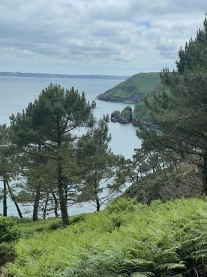 Een korte rondleiding door Cape Goat - Crozon - 146
