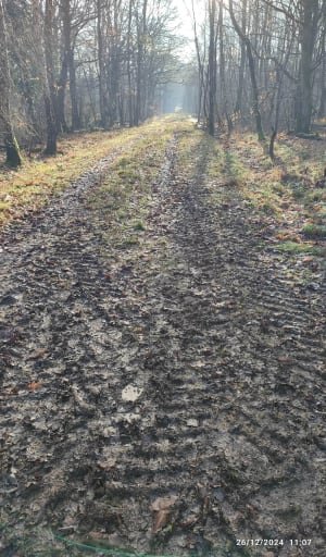 Boucle dans le Bois Saint-Martin - Noisy-le-Grand - 6