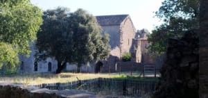 De la sortie du village du Thoronet à l’abbaye - Le Thoronet - 11