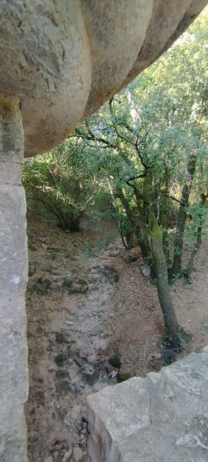 De la sortie du village du Thoronet à l’abbaye - Le Thoronet - 14