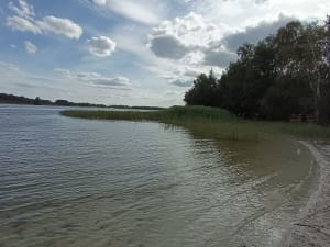 Étang du Puits et petit paradis pour les sorties en famille - Cerdon - 3