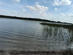 Étang du Puits et petit paradis pour les sorties en famille - Cerdon - 4