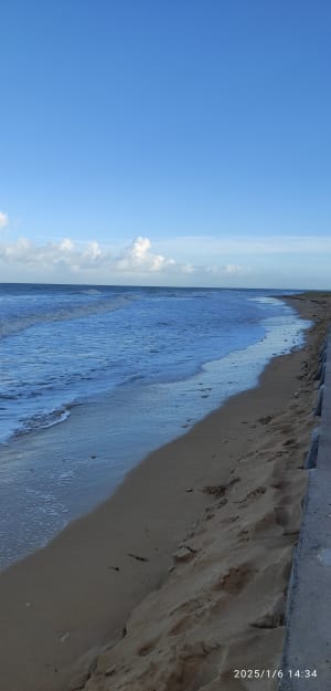 Balade le long de la plage à Courseulles. - Courseulles-sur-Mer - 5