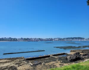 Saint-Philibert et anse de Tréhennarvour - La Trinité-sur-Mer - 8