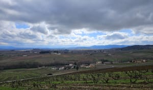 Circuit Mont Brouilly par les vignes - Charentay - 11