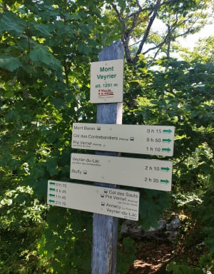 Beklimming naar de Mont Veyrier vanaf de Col des Contrebandiers - Annecy - 13