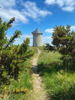 Le Mont de Doville - Caroline - 6