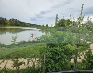 Balade et tour du Lac de Nogent-Sur-Vernisson - Michel - 2