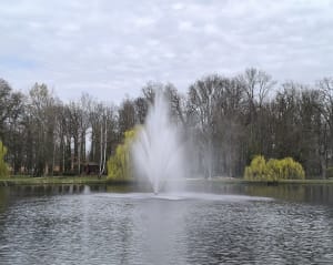 Do zobaczenia w Żmigrodzie - Dariusz - 11