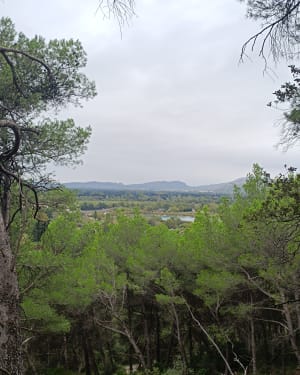 Wandel onder de bomen van de Luberon - Cheval-Blanc - 17