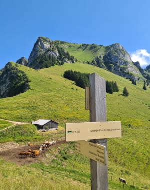 Grande Pointe des Journées et grande joie des sommets - Le Lavouet - 32