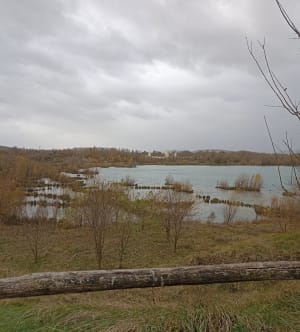 Boucle des étangs de Pérignat-sur-Allier. - La Roche-Noire - 17