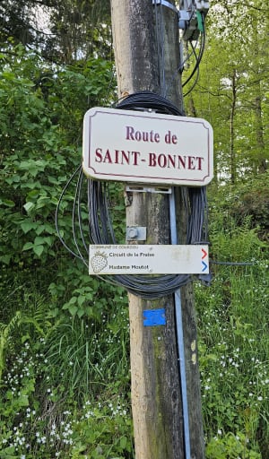 Les Cols de la Luère et de la Croix du Ban - Courzieu - 6