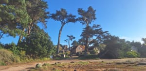 Trégastel et tour de l'île Renote - Trégastel - 93