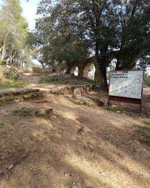 Sentier des Crêtes et piste des Campons de Roquebrune - Roquebrune-sur-Argens - 13