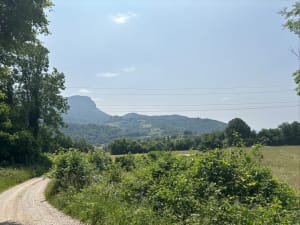 La Dent de Moirans - Montaud - 5