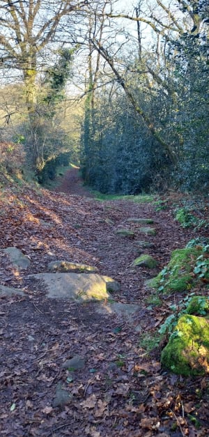 Randonnée de la bataille de Torfou - Sèvremoine - 5