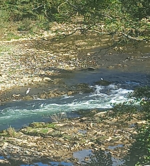 Ballade sur les coteaux de Mazères sur Salat - Loïc - 2