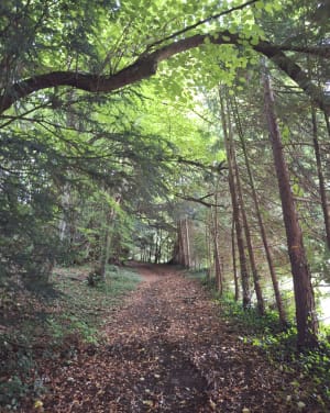 Balade au départ de Fierville les Parcs - Fierville-les-Parcs - 5