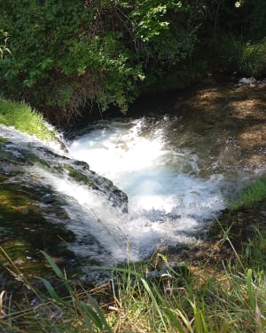 D'un lac à l'autre autour de Moustier-Sainte-Marie - Moustier-Sainte-Marie - 14