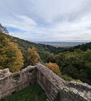 Châteaux alsaciens depuis Husseren-les-Châteaux - Romane  - 10