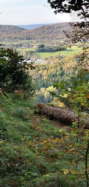 Randonnée au pic de l'Aigle et belvédère des 4 lacs - Les Rollets, La Chaux-du-Dombief - 20