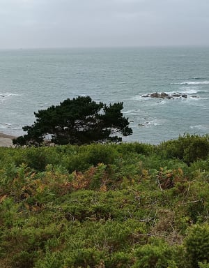 Promenade en bord de mer à L'Armor Pleubian - Pleubian - 12
