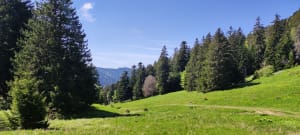Boucle des Emeindras - Le Sappey-en-Chartreuse - 7