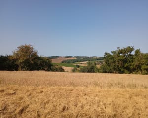 Valence sur Baise - Sandrine - 12