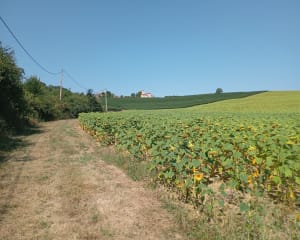 Valence sur Baise - Sandrine - 14