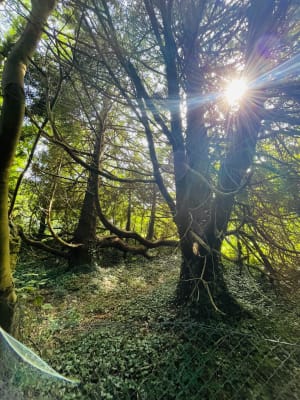 Promenade dans la vallée du Lude - Carolles - 14