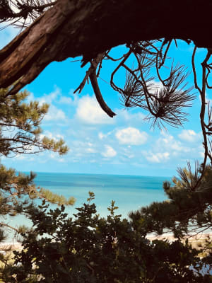 Promenade dans la vallée du Lude - Carolles - 15