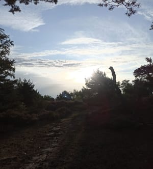 Autour de Milly-la-Forêt, terres de Jean Cocteau - Milly-la-Forêt - 10