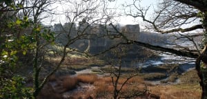 Tregon au château du Guildo - Mikaela - 16