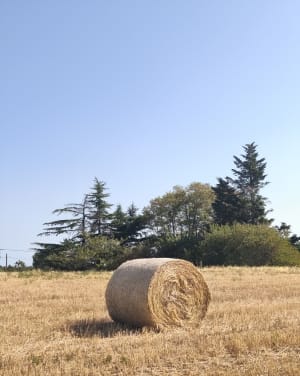 Rando à Lubac - Saint-Jean-de-Muzols - 11