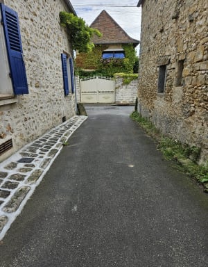 Boucle de l'île du Berceau à Samois-sur-Seine - Samois-sur-Seine - 22