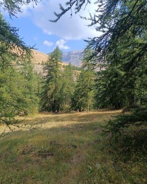 Tête du Garnier et beau coup d'œil sur lac de Beuil - Valberg - 2